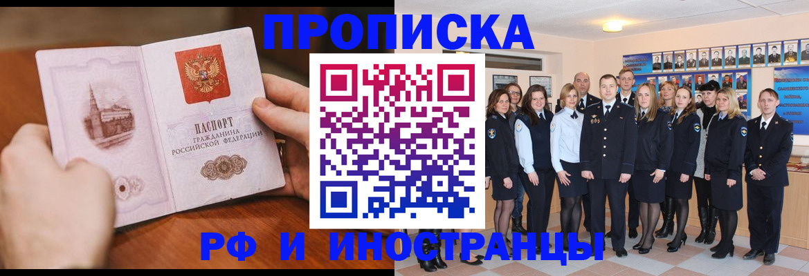 прописка поиск в Сольцах